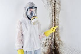 Professional Mold Inspection in Garrett, IN